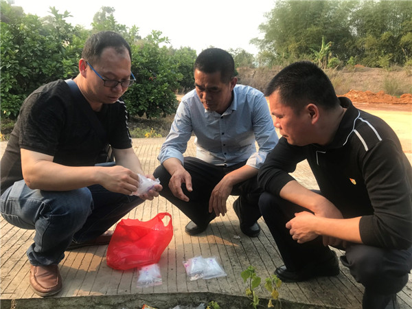 图片说明