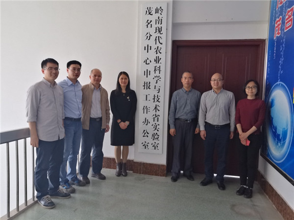 图片说明