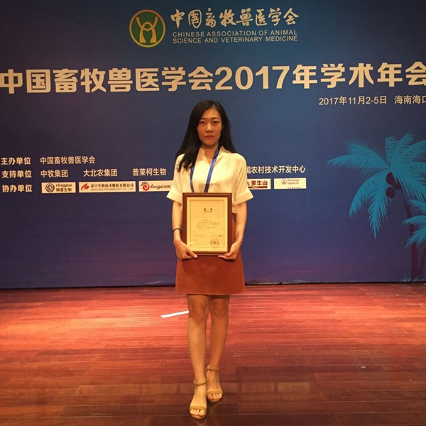 图片说明