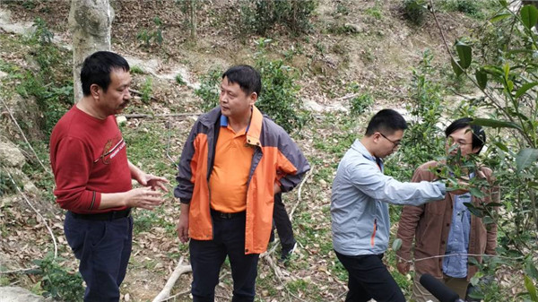 图片说明