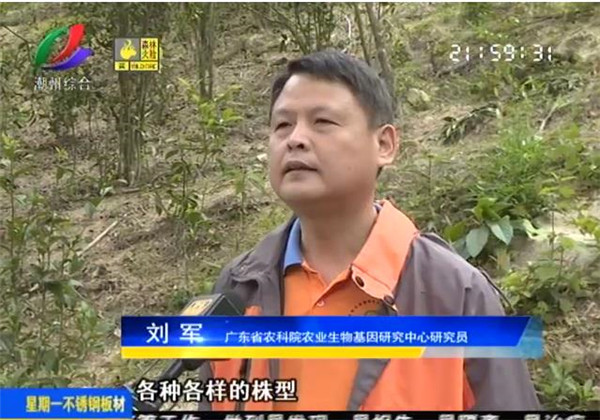 图片说明