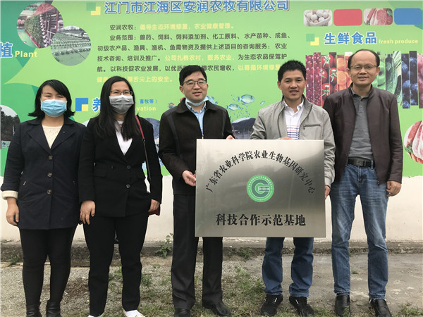 图片说明