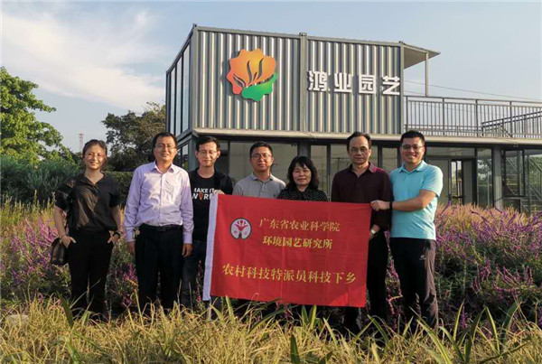 图片说明