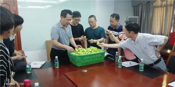 图片说明