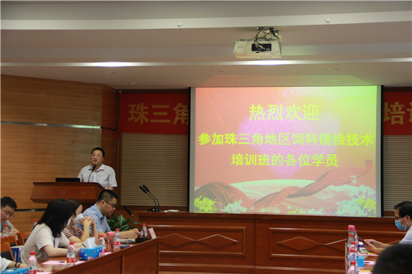 图片说明