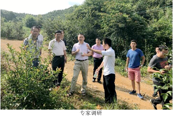 图片说明