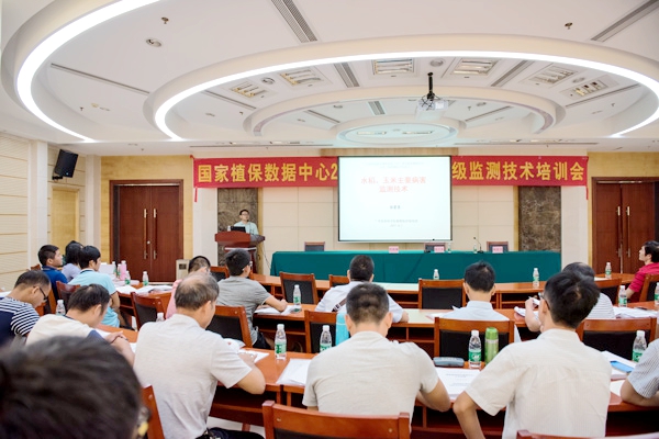 图片说明