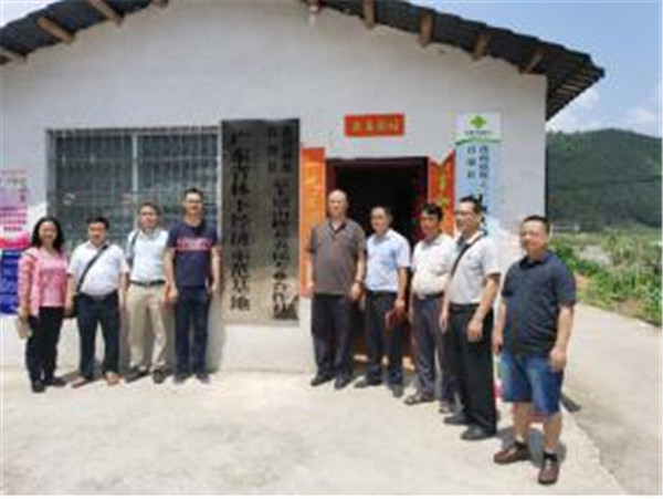 图片说明