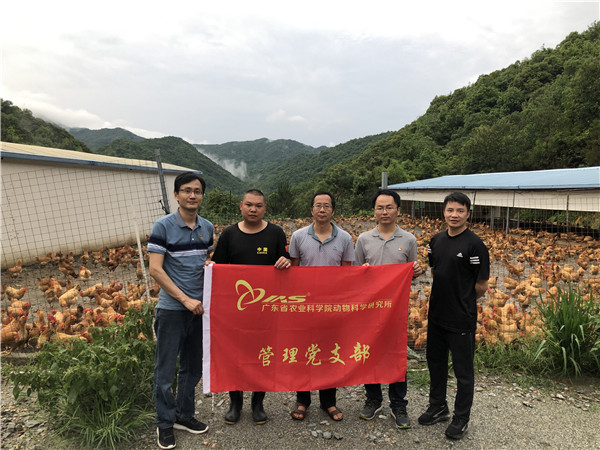 图片说明