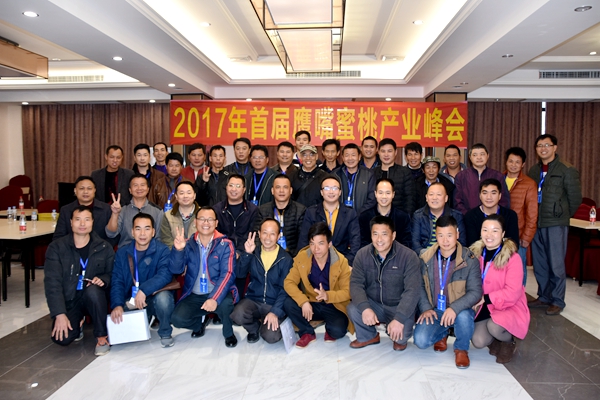 图片说明