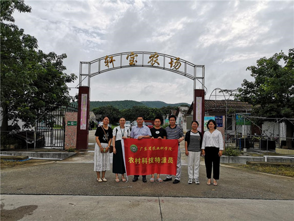 图片说明