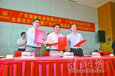 图片说明