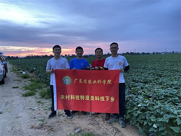 图片说明