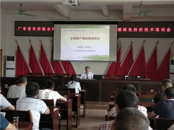 图片说明