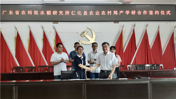 图片说明