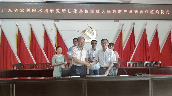 图片说明