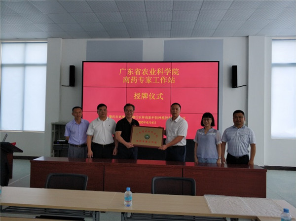 图片说明