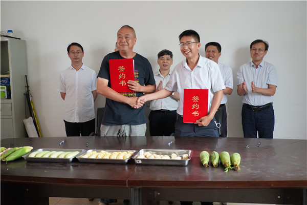 图片说明