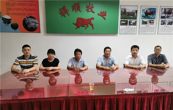 图片说明