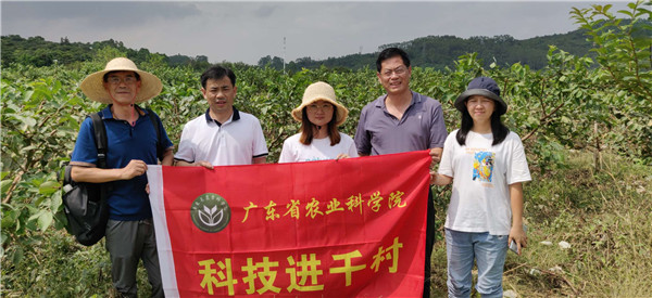 图片说明