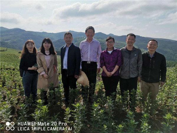 图片说明
