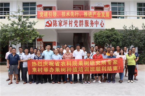 图片说明