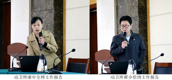 图片说明