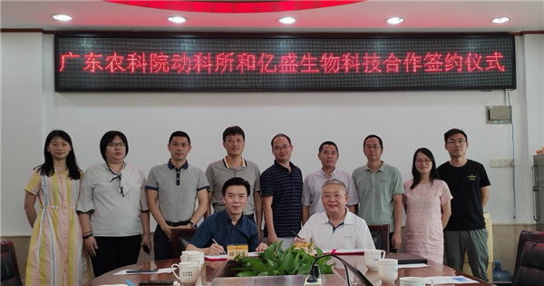 图片说明