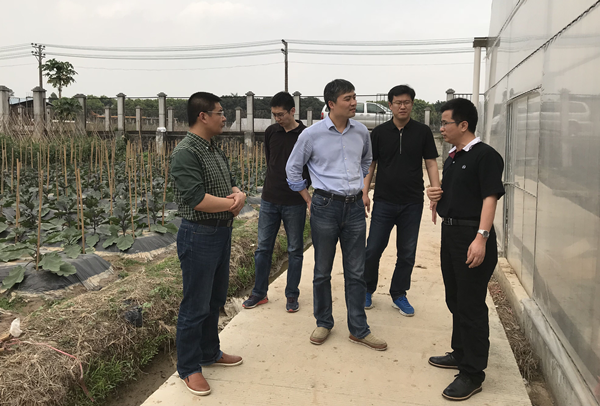 图片说明