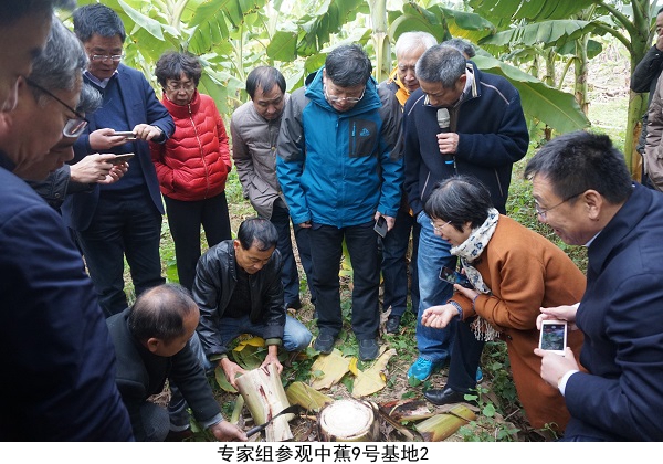 图片说明