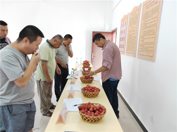 图片说明