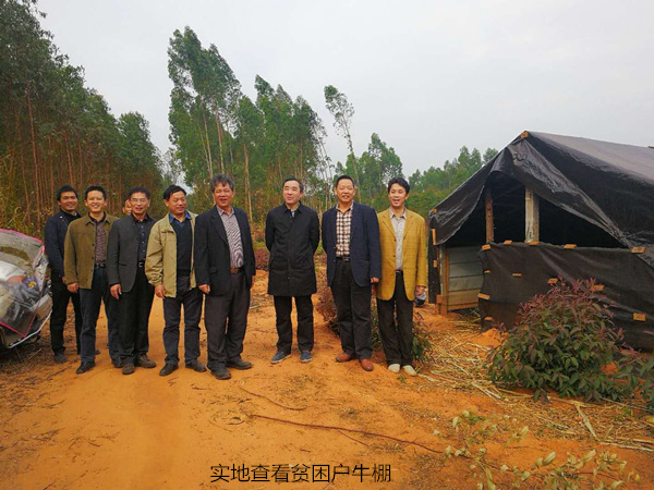 图片说明