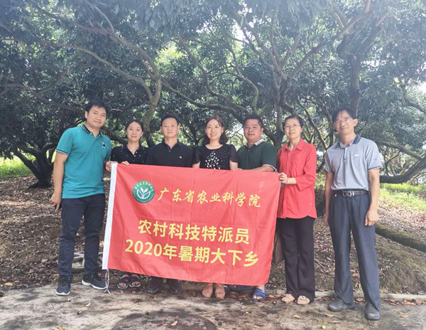 图片说明