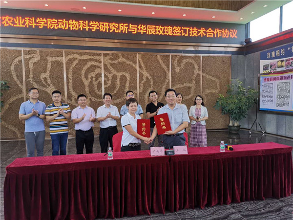 图片说明