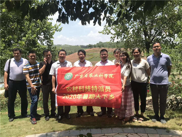 图片说明