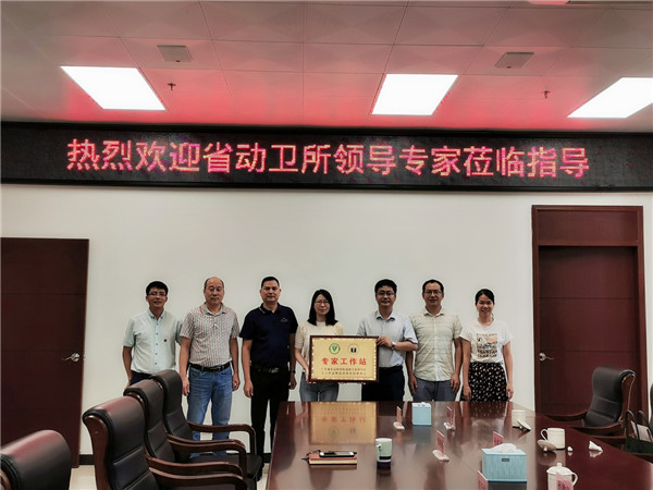 图片说明