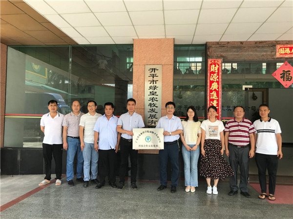 图片说明