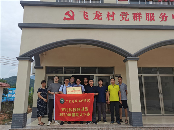 图片说明