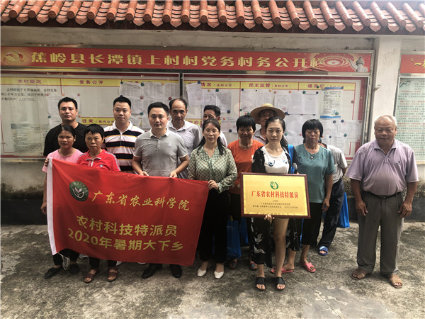 图片说明