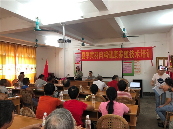 图片说明
