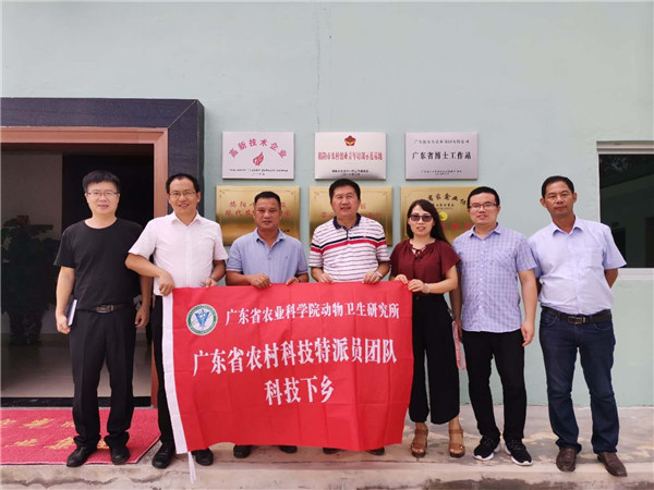 图片说明