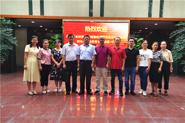 图片说明