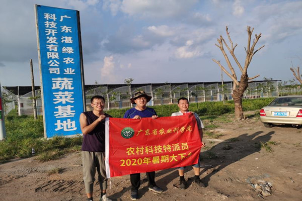 图片说明