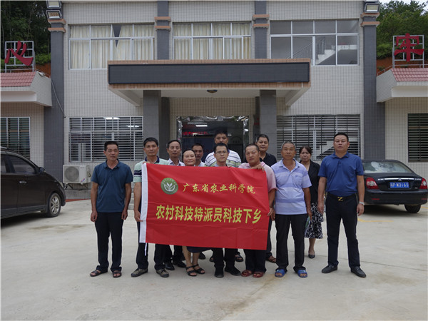 图片说明