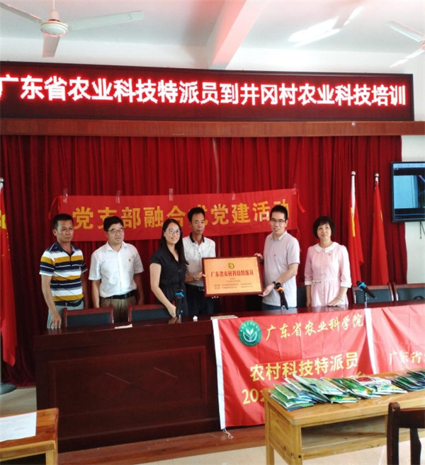 图片说明