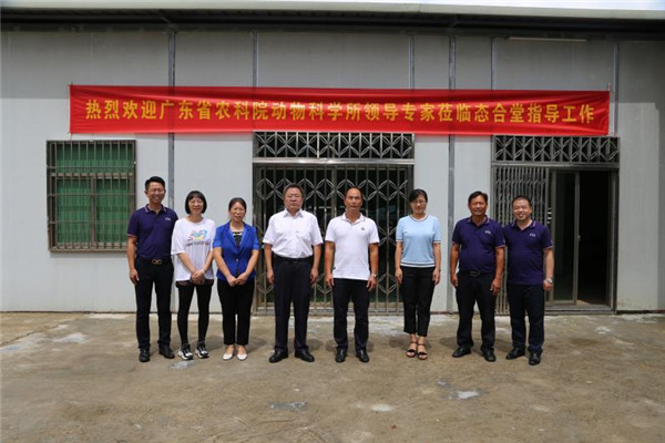 图片说明
