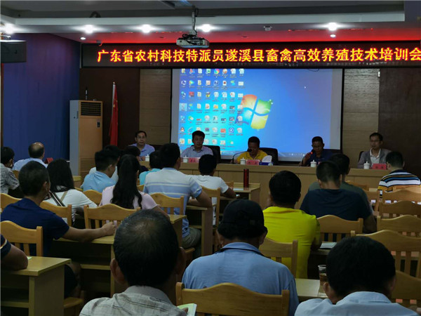 图片说明