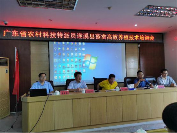 图片说明