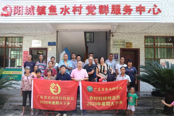 图片说明