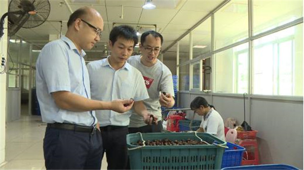 图片说明